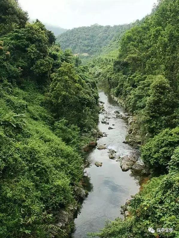 五羊本田优悦110避震换油封多少钱?-专业的问答类网站